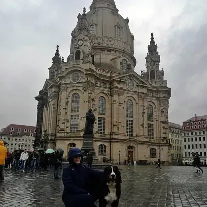 Kiállítási kép
