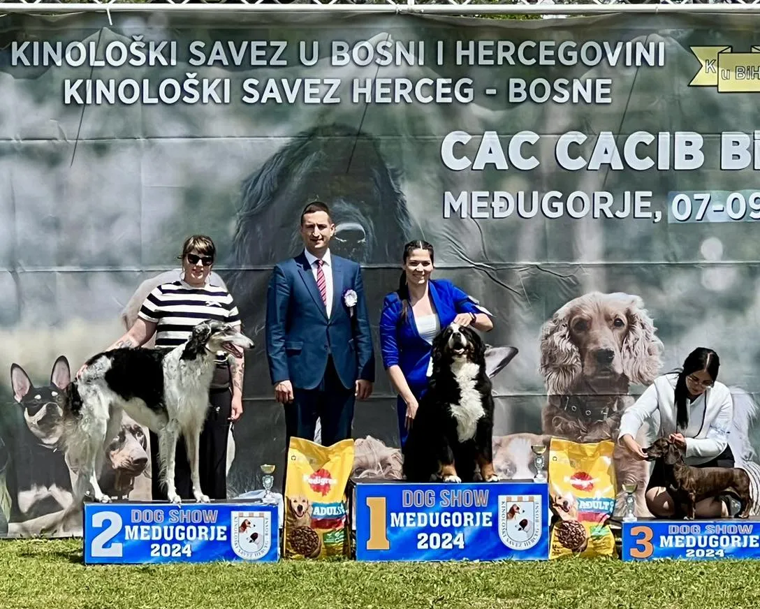 Kiállítási kép
