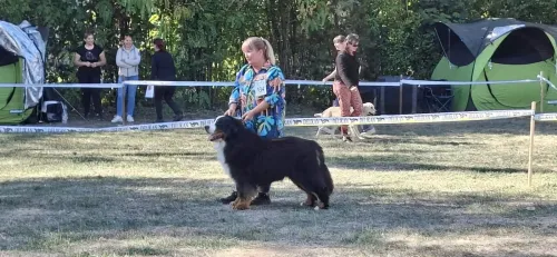 Kiállítási kép