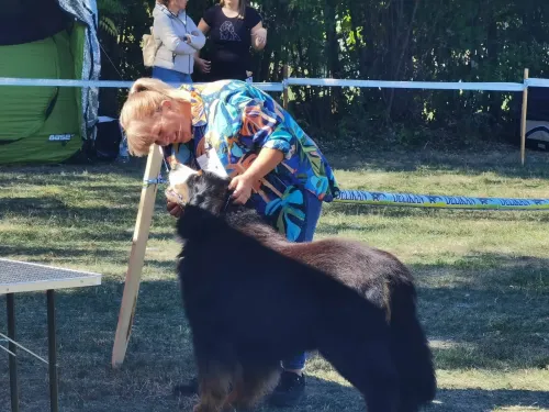 Kiállítási kép